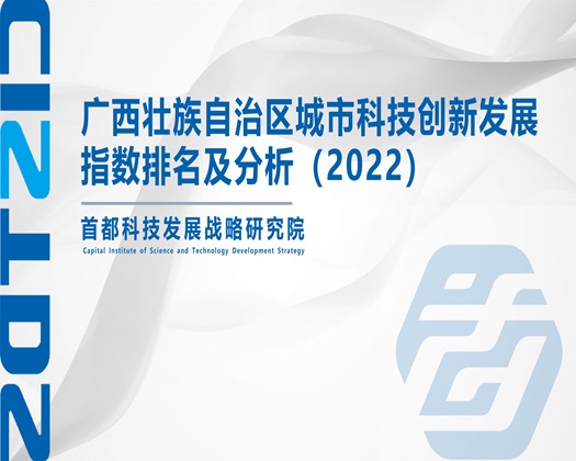 操死贱骚逼网站【成果发布】广西壮族自治区城市科技创新发展指数排名及分析（2022）